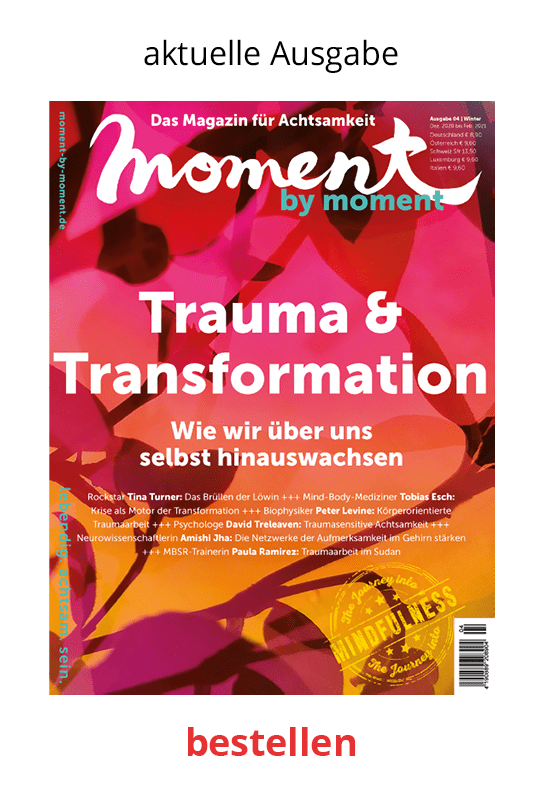 Cover moment by moment 04/2020 Trauma und Transformation