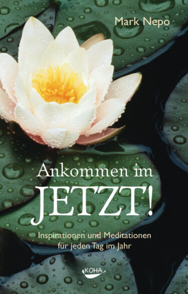 Buchcover Mark Nepo Ankommen im Jetzt mit einer Seerose