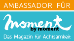 Logo moment by moment Ambassador low resolution