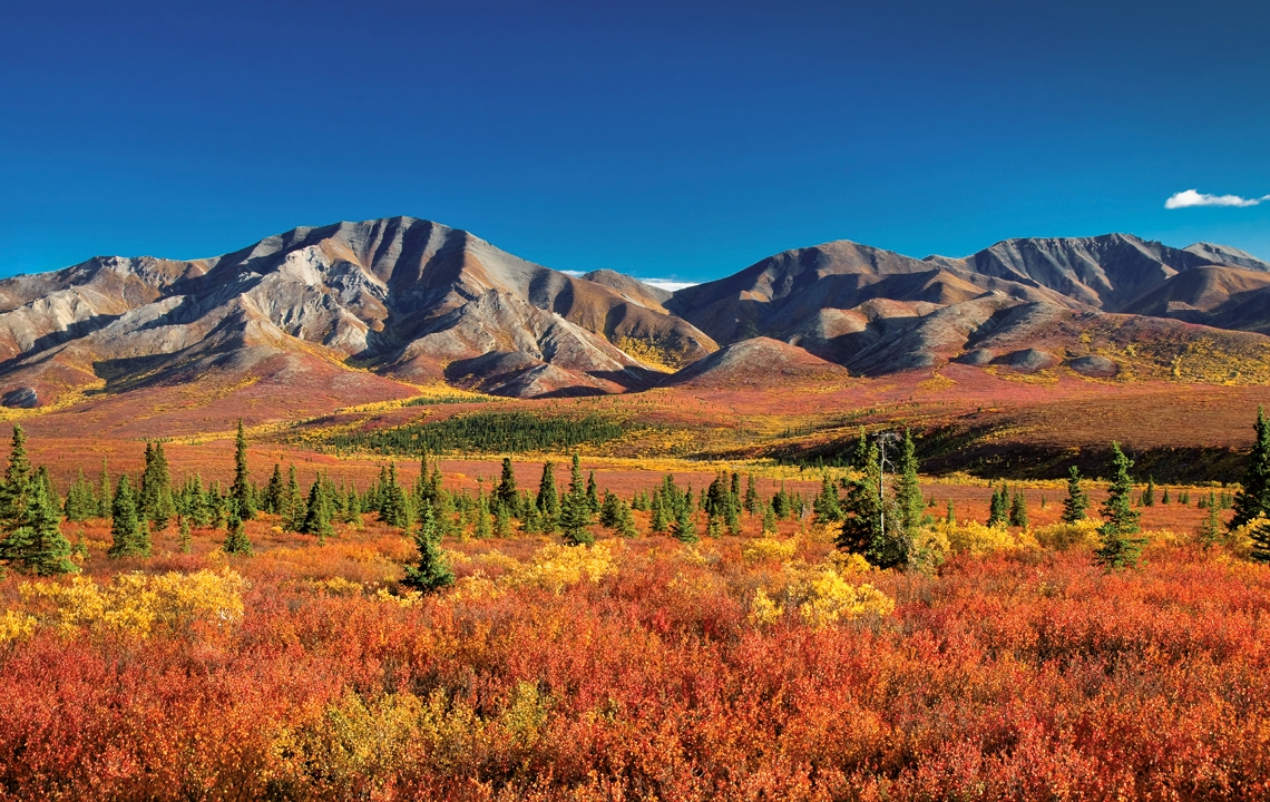 Panoramaaufnahme eines herbstlichen Waldes vor einem Gebirgszug