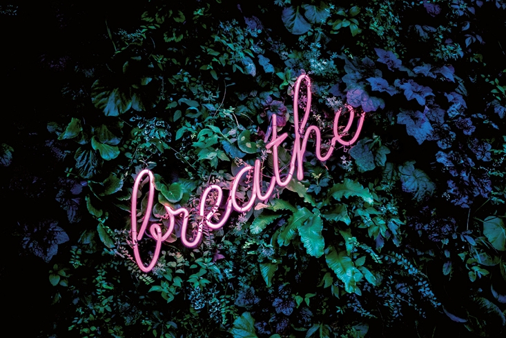 Schriftzug "breathe" in pinker Leuchtschrift umgeben von Pflanzen. Link führt zur Leseprobe Jeder Atemzug zählt.