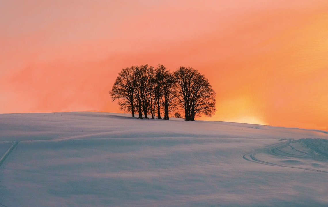 Verschneite Winterlandschaft bei Sonnenaufgang