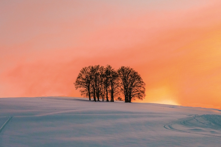 Verschneite Winterlandschaft bei Sonnenaufgang. Link führt zur Leseprobe Vom Schlafen und Erwachen.