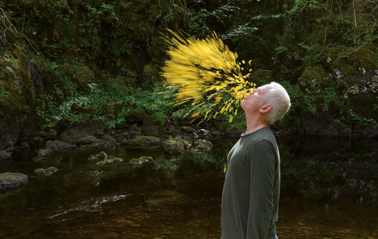 Naturkünstler Andy Goldsworthy steht vor einem Teich. Vor seinem Gesicht ist eine Wolke aus gelben Blüten.