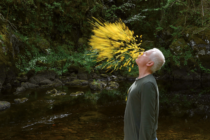 Naturkünstler Andy Goldsworthy steht vor einem Teich. Vor seinem Gesicht ist eine Wolke aus gelben Blüten. Link führt zur Leseprobe Porträt eines Naturkünstlers
