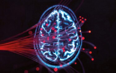 Ein Bündel Glasfaserkabel leuchtet rötlich vor einer MRT-Aufnahme eines Gehirns. Bild dient zur Illustration der Leseprobe "Konflikte nachhaltig lösen" darüber wie Methoden zur Stressreduktion wie Metta-Meditation und Mitgefühlstraining indirekt dazu beitragen, Streitigkeiten wirksam zu lösen.