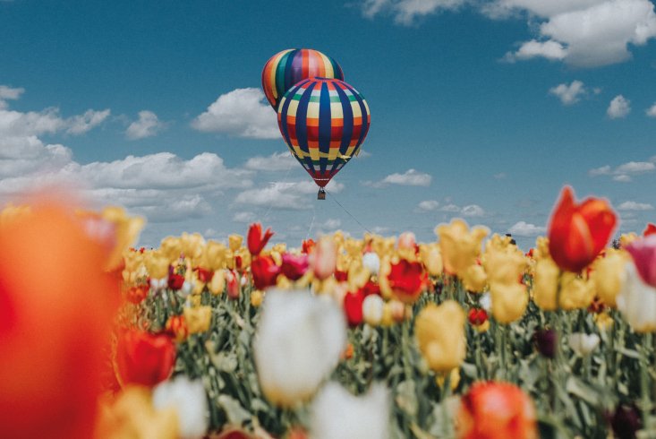 Zwei bunte Heißluftballons schweben über einem Tulpenfeld. Link führt zur Leseprobe des Beitrags "Die Kraft der guten Gefühle" von Olga Klimecki